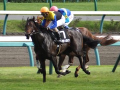 20150927 中山9R 芙蓉S プロディガルサン 18