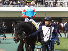 20170218 東京2R 3歳メイクデビュー タネノオー 15