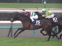 20181223 中山9R グッドラックHC ヴァントシルム 17