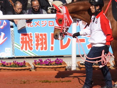 20170225 阪神9R 丹波特別(500) レーヌドブリエ 17
