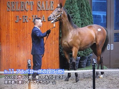 アルバローズ15