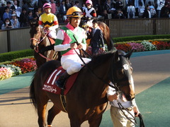 20161105 東京11R 京王杯2歳S(G2) コウソクストレート 22