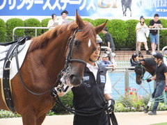 20150919 中山3R 2歳未勝利 アートラヴァー 09