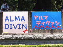 20150628 東京11R パラダイスS アルマディヴァン 01