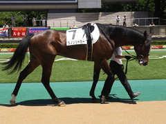 20140614 東京3R ダノンジャガー 07