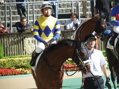 20181021 東京6R (500) ロジスカーレット 21