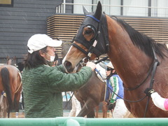 20190303 中山6R 3歳未勝利 ストレートパンチ 21