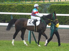 20170408 中山5R 3歳未勝利 ジュンマシュウ 18