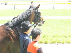 20140531 東京6R オウケンブラック 23