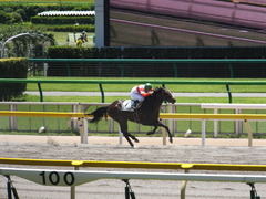 20140614 東京3R ダノンジャガー 13