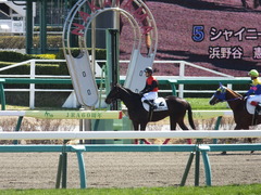 20140308 中山4R メジロサンノウ 15