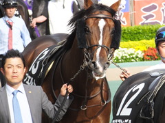20160508 東京12R(1000)プエルト 11