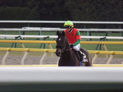 20190126 東京11R 白富士S 4歳上OP マイネルサージュ 19
