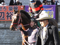 20180217 東京11R ダイヤモンドS(G3) ホウオウドリーム 20