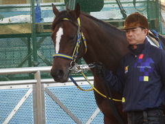 20190113 中山12R (1000) ラッシュアタック 07