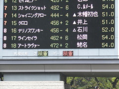 20151011 東京2R 2歳未勝利 アートラヴァー 01