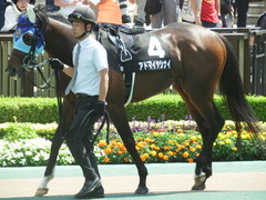 20180602 東京9R 国分寺特別 3歳上500万下 アドマイヤシナイ 08