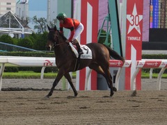 20161012 大井2R 3歳95万下 マルカンヒラリー 21