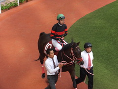 20170924 阪神11R 神戸新聞杯(G2) 3歳OP ホウオウドリーム 23