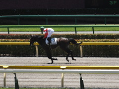 20140614 東京3R ダノンジャガー 11