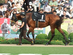 20180917 中山10R 浦安特別(1000) ノーモアゲーム 13