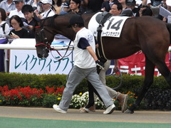 20160903 札幌12R (500) トーセンカナロア 07