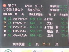 20190223 中山7R 4歳上(500) アドマイヤムテキ 01