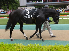 20170625 東京11R パラダイスS 3歳上(OP) ショウナンアチーヴ 10