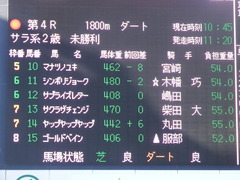 20181228 中山4R 2歳未勝利 ヤップヤップヤップ 01