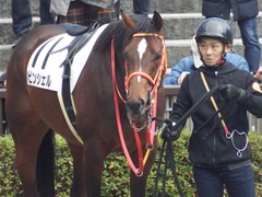 20190126 東京5R 3歳未勝利 ピンシェル 14
