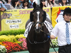 20160605 東京4R 3歳未勝利 ツボミ 13