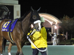 20141127 大井11R 勝島王冠(S3) ユーロビート 03