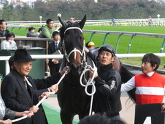 20151031 東京10R 赤富士S ショウナンアポロン 22