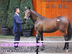 ピンクリップス15