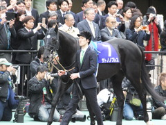 20161030 東京11R 天皇賞・秋(G1) サトノノブレス 03