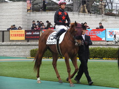 20140202 東京1R ワイルドジーク 09