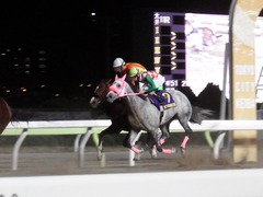 20181205 大井11R 勝島王冠(S2) ユーロビート 20