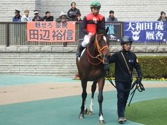 20190126 東京5R 3歳未勝利 ピンシェル 17