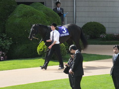 20140504 京都11R 天皇賞春 サトノノブレス 11