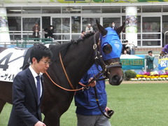 20180407 中山3R 3歳未勝利 ラプターゲイル 04