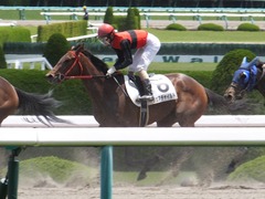 20170603 阪神3R 3歳未勝利 フェアチャイルド 29