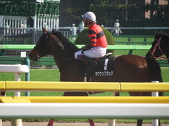 20180421 東京10R 府中S(1600) オウケンブラック 20