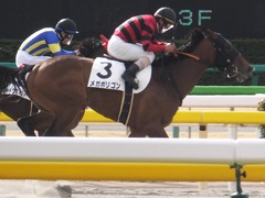 20170205 東京1R 3歳未勝利 メガポリゴン 20