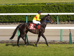 20150328 中山11R 日経賞(G2) ラブイズブーシェ 11