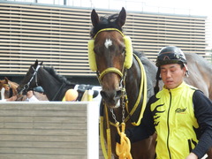 20180415 中山4R 3歳未勝利 マイティテソーロ 20