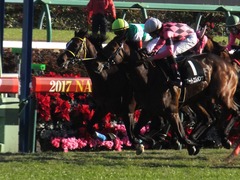 20171209 中山9R 霞ヶ浦特別(1000) ラッシュアタック 19