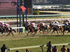 20140118 中山競馬場 ツクバアスナロ 16
