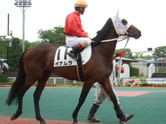 20180523 大井3R 3歳(195万下) イナムラ 13
