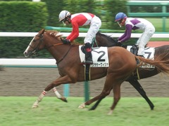 20180930 中山2R 2歳未勝利 クラサーヴィツァ 23