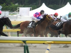 20180506 東京12R 立川特別(1000) ノーモアゲーム 17